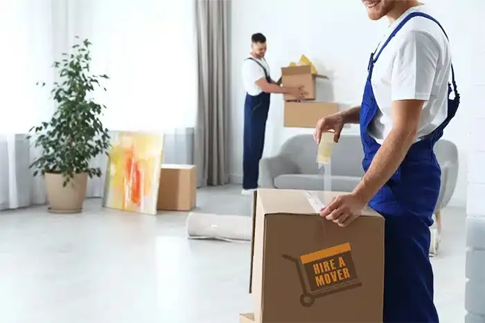 Pharmaceutical Cold Transport